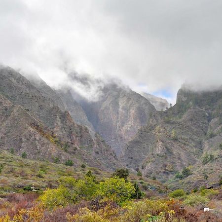 Naturaleza Viva El Socorro Exteriör bild