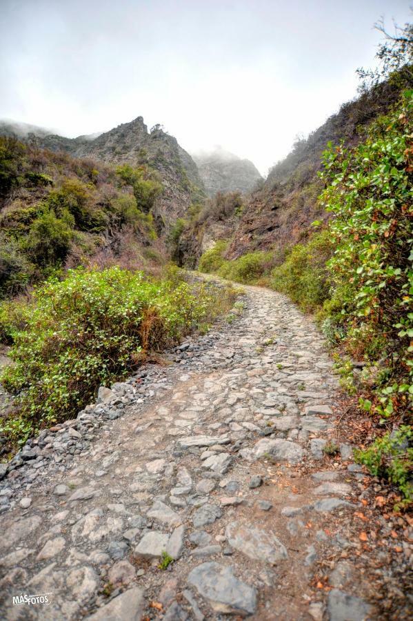 Naturaleza Viva El Socorro Exteriör bild